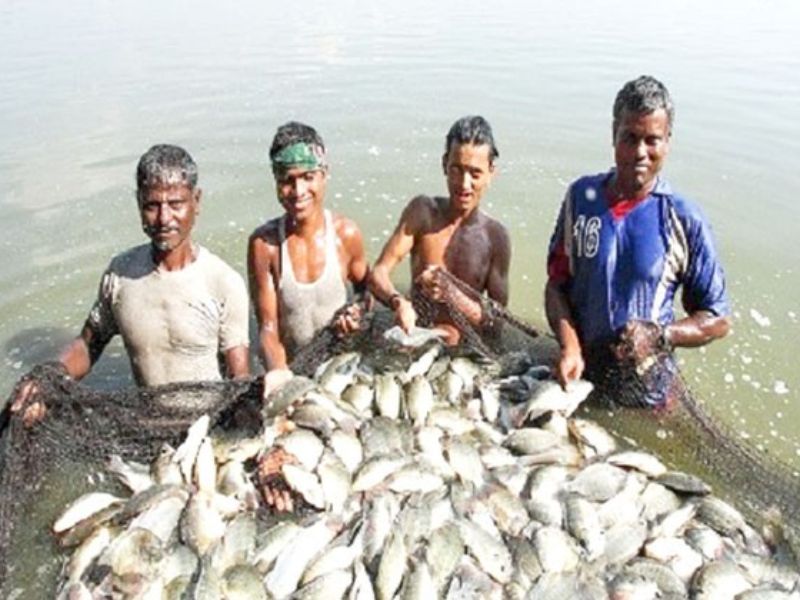 মৎস্যের এক প্রকল্পের ২৫৮ কোটি টাকা গায়েব